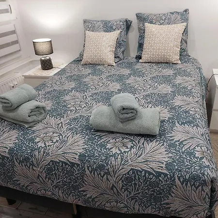 Porte De France شقة ستراسبورغ