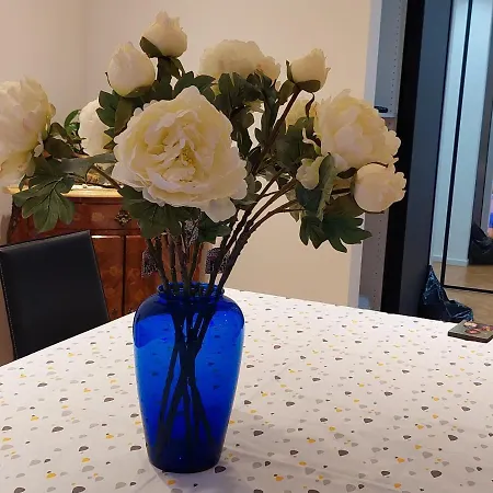 Porte De France Apartamento *